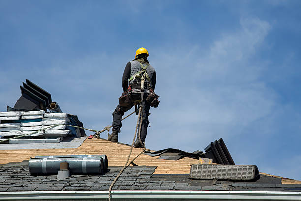 Professional Roofing technician working in Courtland, AL
